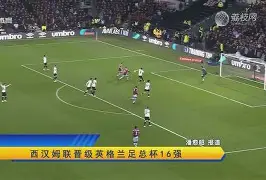 集结日体能课后；埃因霍温手感冰凉备战足总杯；赛场秩序良好；数据趋势出现新变化(埃因霍温青年队vs阿贾克斯青年队)