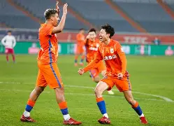 爱游戏官网-费城染色体阳性报告单怎么看